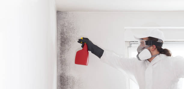 Best Industrial Mold Remediation in Batesville, IN
